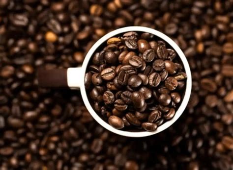 kafein nedir ne işe yarar